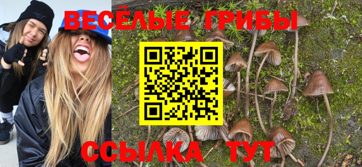 Псилоцибиновые грибы GOLDEN TEACHER  Вход с VPN  Ртищево 